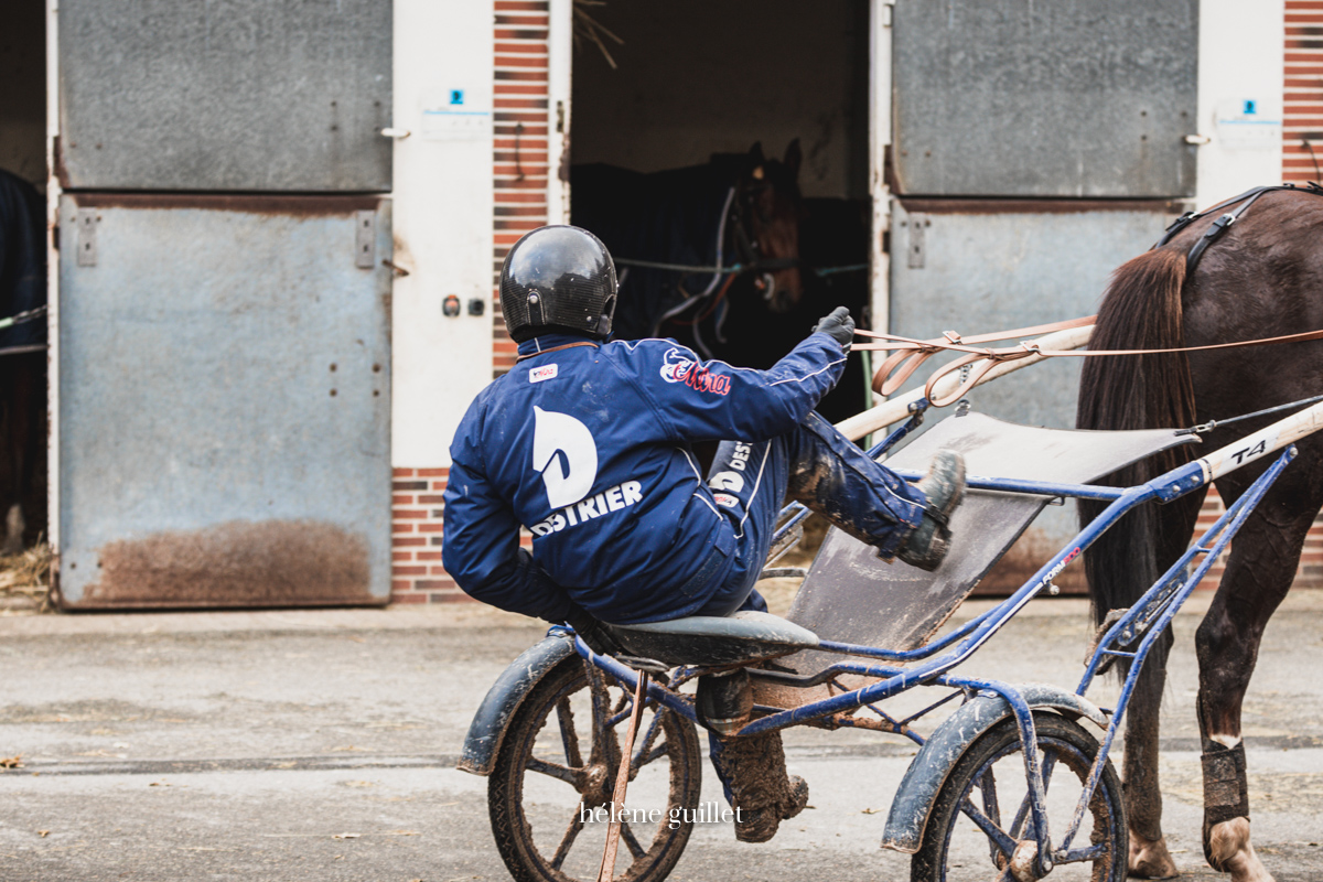 Driver Destrier Sulky Hélène Guillet Photographe