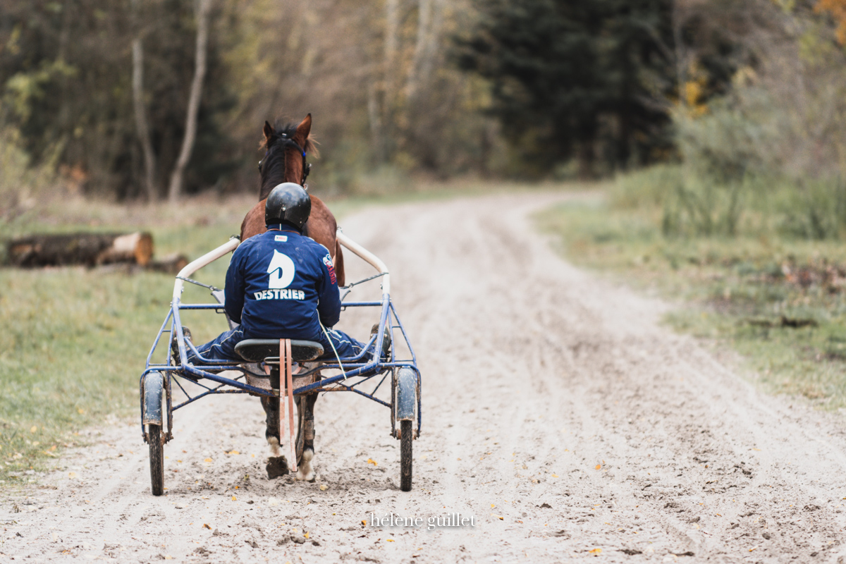 Photo entrainement Driver Destrier piste Grosbois