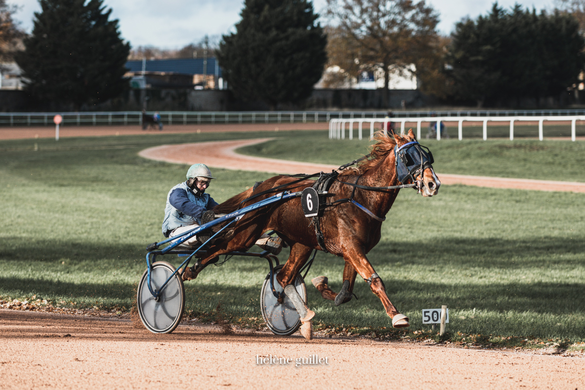 Course de trot Sulky piste Grobois