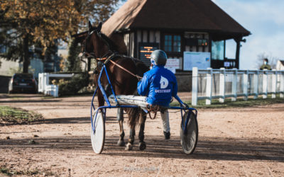 Reportage dans l’univers du trot