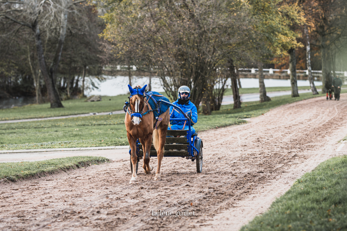 Photo équestre driver course de trot Destrier