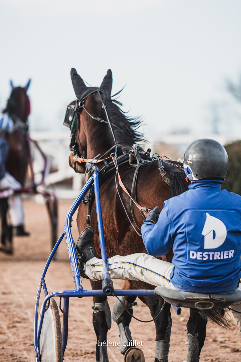 Reportage photos Destrier Hélène Guillet Photo Sulky Driver Destrier Franck Ouvrie