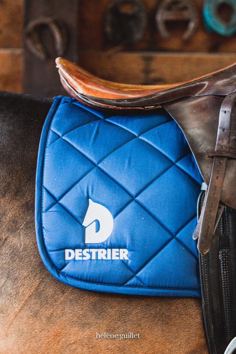 Photo tapis Destrier selle de cheval