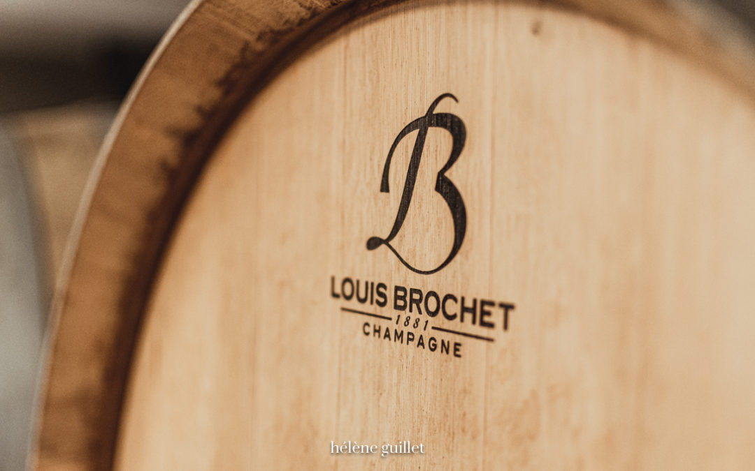 Reportage vendange Champagne Louis Brochet