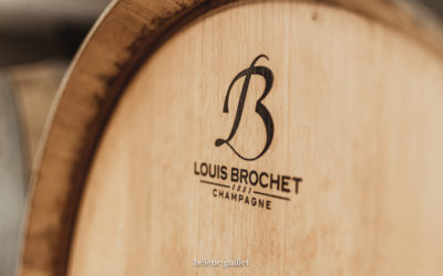 Reportage vendange Champagne Louis Brochet