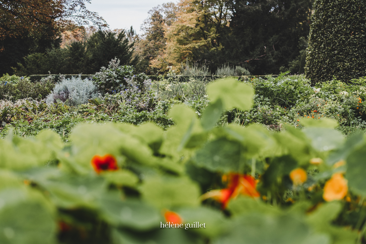 Photographie Jardin Domaine Les Crayères Reims Helene Guillet Photographe