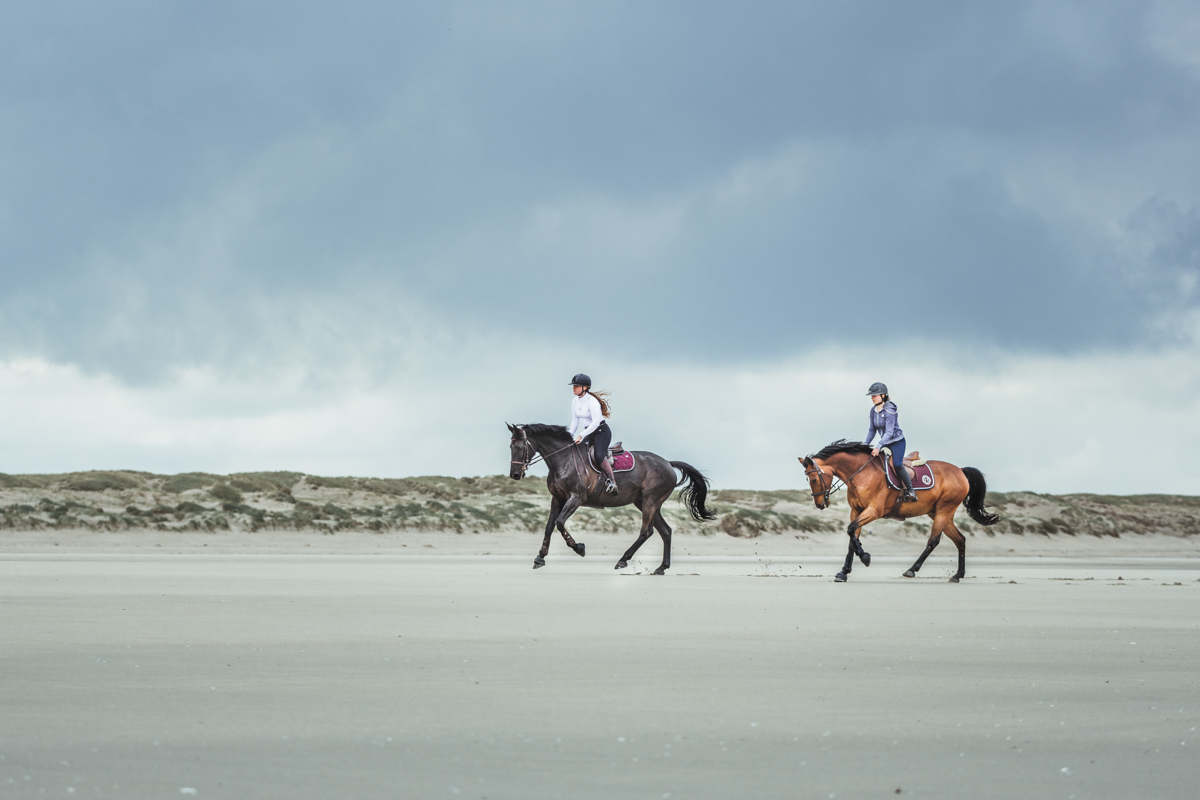 Shooting à cheval