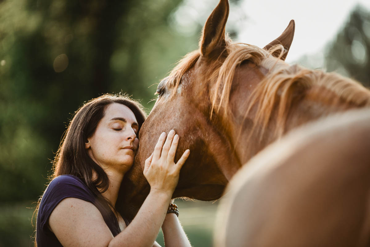 photographie-equine-helene-guillet-12 photographe équin aube