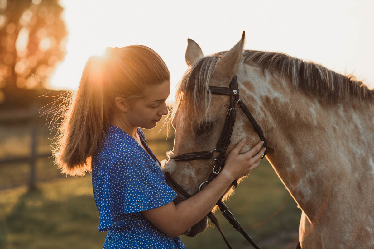 photographie cheval plage