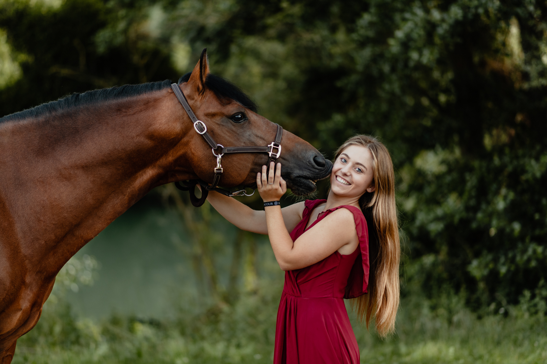 photographe équin aube