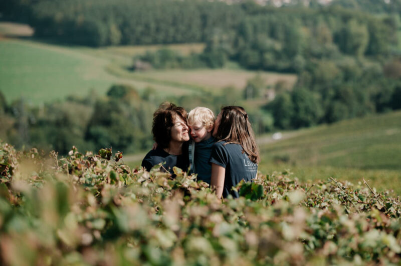 famille dans la nature pour une séance photo famille dans la marne